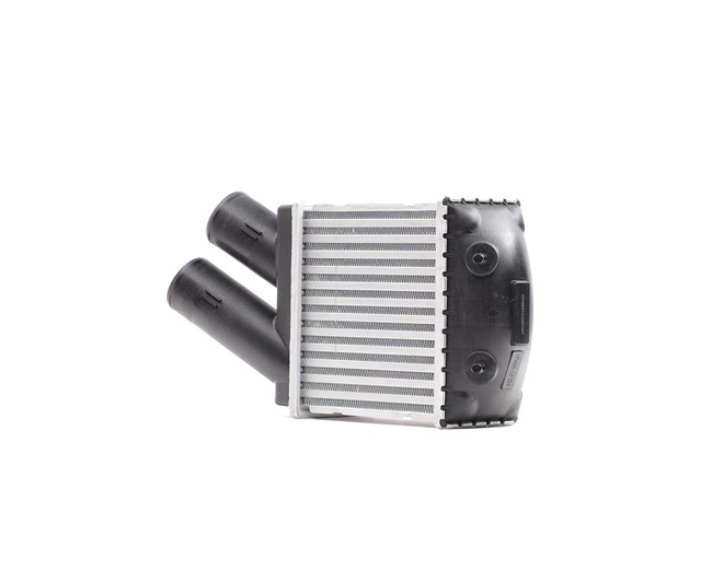 RIDEX 468I0061 Intercooler Renault Megane Scenic 1.9 dT (JA0Y) 94 Pk Diesel 1999