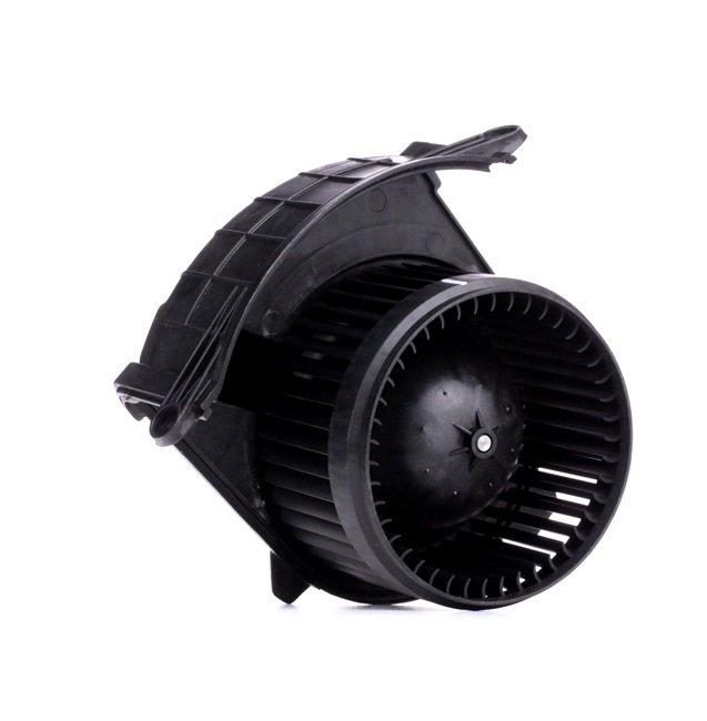 RIDEX 2669I0113 Ventilador habitáculo VAUXHALL a un precio bajo