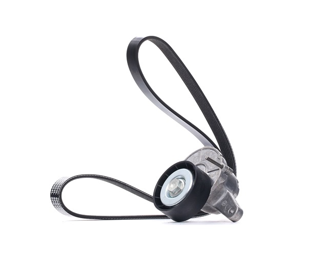 DAYCO KPV288 Cinghia servizi CUPRA prezzo