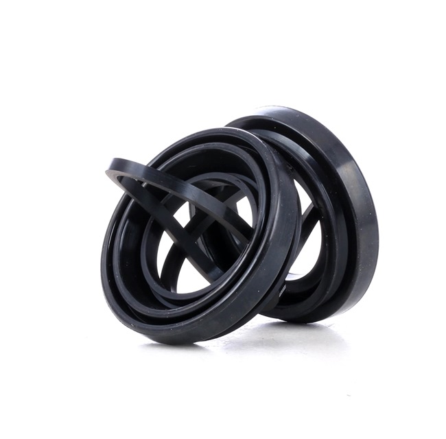 RIDEX 405R0098 Kit revisione pinze freno VW Multivan T6 originale prezzo