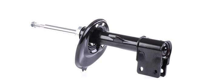 RIDEX 854S1782 Stoßdämpfer DS hinten und vorne Kosten