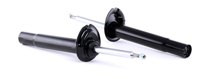 854S1604 RIDEX 1095083 Shock absorber