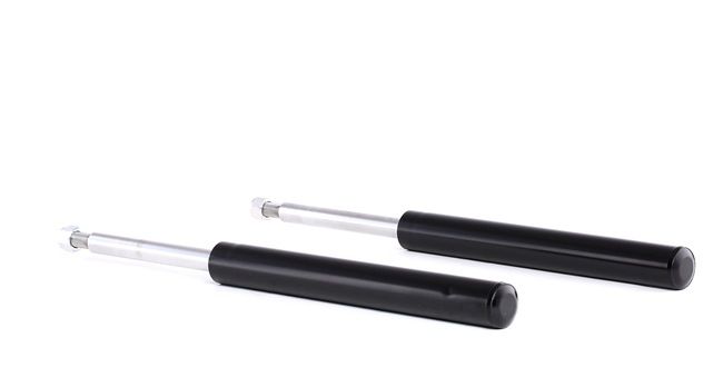 RIDEX 854S1754 Calidad y precios justos