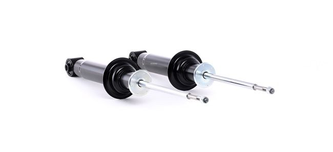 RIDEX 854S1810 schokdemper 33 52 1 134 813