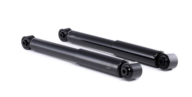 RIDEX E6210-BR04A Amortizatorius 854S1839