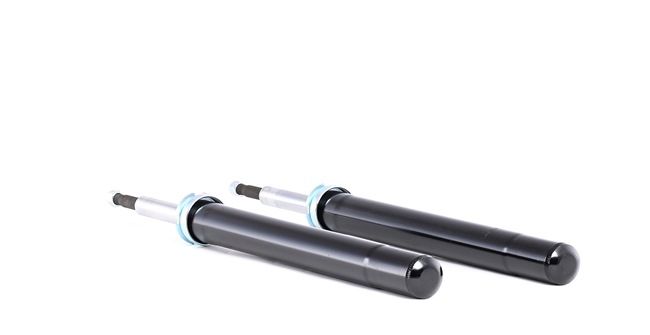 RIDEX 854S1860 Calidad y precios justos