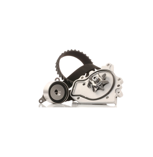 RIDEX 3096W0103 Vandens siurblio ir paskirstymo diržo komplektas HONDA Integra II Sedanas (DB6, DB7, DB8, DB9)
