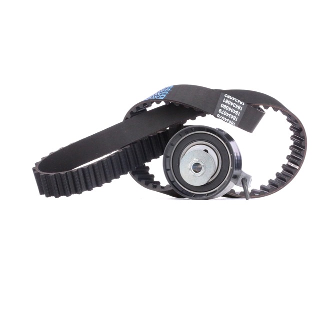 RIDEX 307T0059 Tandremssæt Ford Fiesta Mk6 1.6 98 HK Benzin 2010