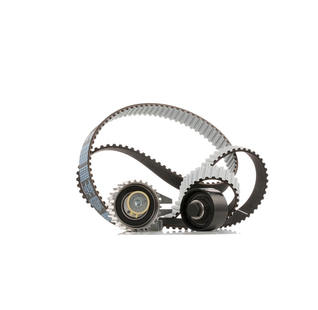 RIDEX 307T0136 Kit de distribution FIAT Doblo II Van / Break (263) 1.6 D Multijet (263ZXR1B) 95 CV Diesel 2018