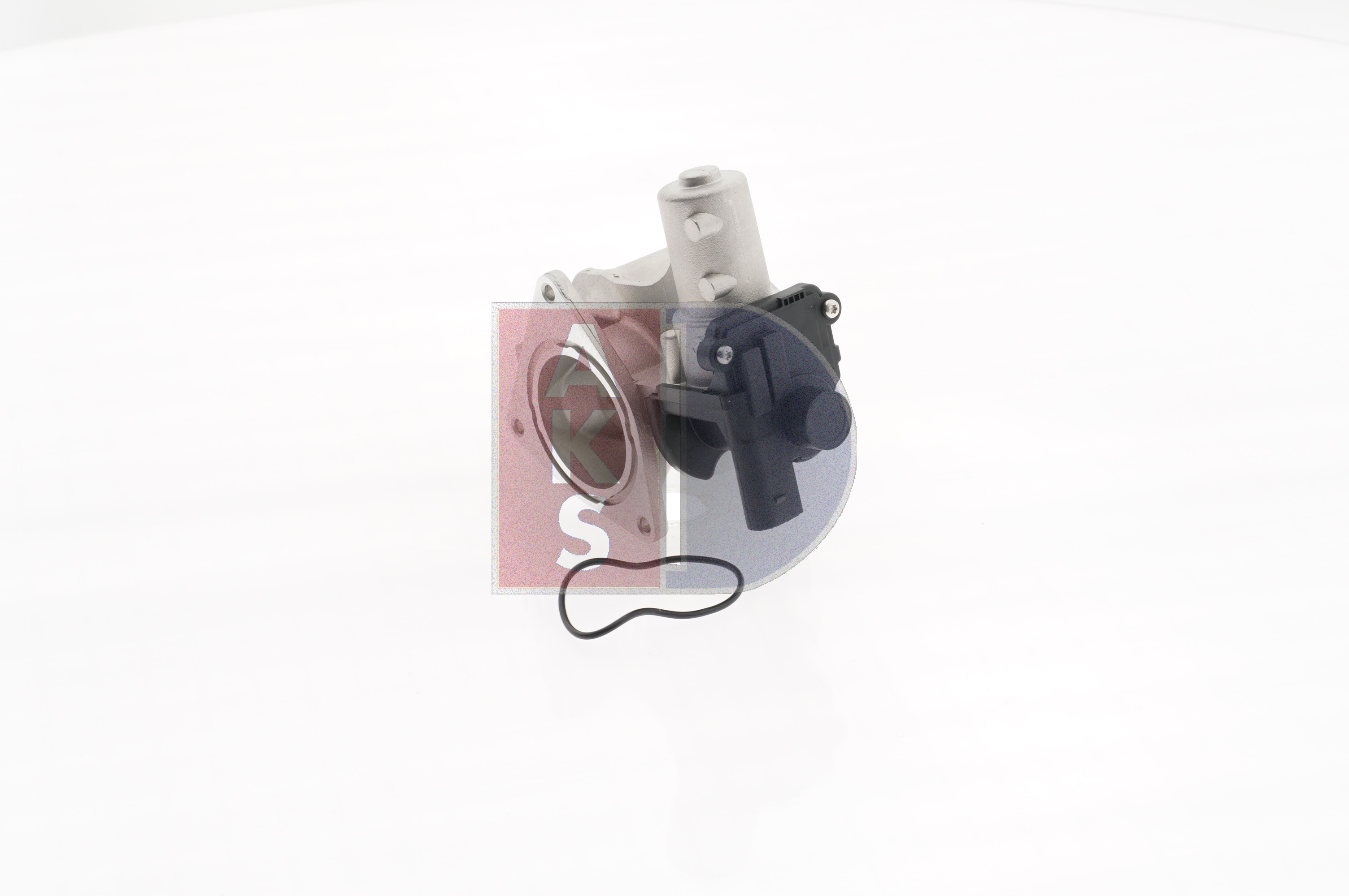 VEMO Válvula EGR V10-63-0055 a un precio bajo