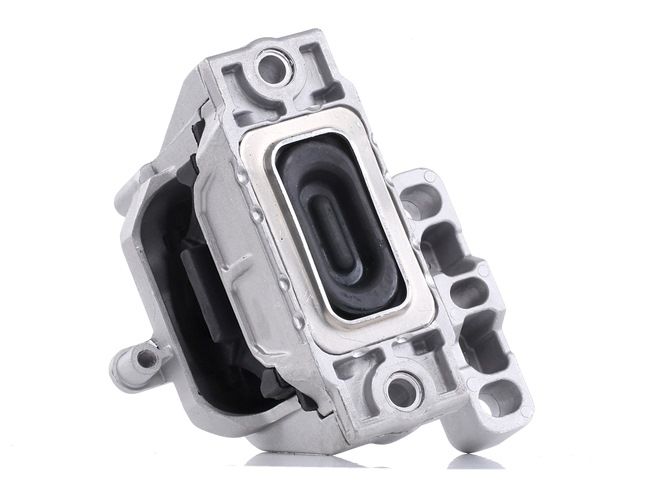 Borsehung B18734 Apoio do motor VW Passat NMS traseiro e dianteiro preço