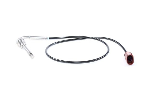 RIDEX 3938E0046 Temperatursensor VW Multivan T6