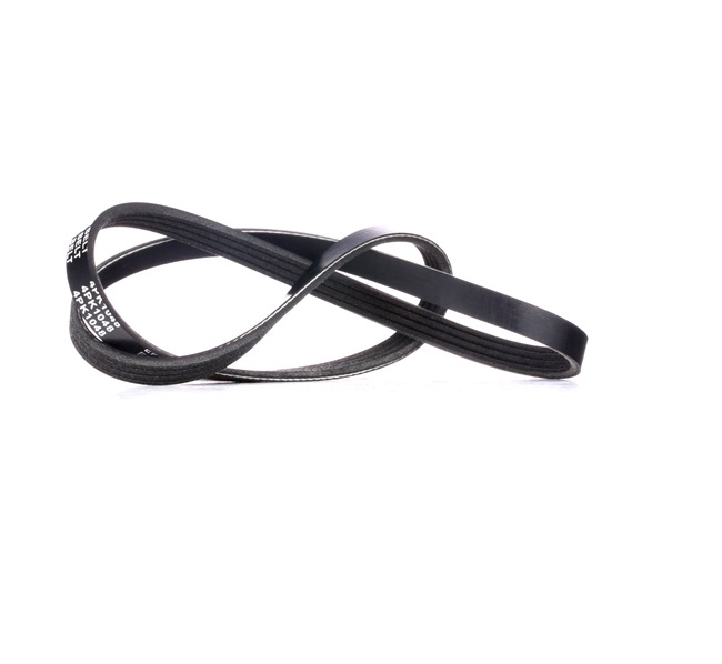 RIDEX 305P0021 Rebrasti jermen SANTANA