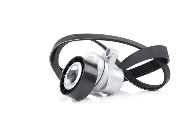 RIDEX 542R0006 Ιμάντας poly-V Peugeot 207 Hatchback 1.6 110 PS Βενζίνη 2013