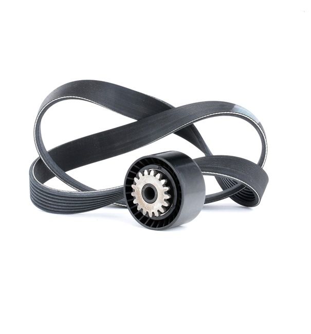 RIDEX 542R0017 Ιμάντας poly-V RENAULT Modus / Grand Modus (F, JP) 1.2 75 PS Βενζίνη 2025
