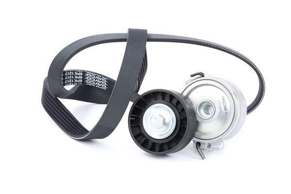 RIDEX 542R0025 Keilrippenriemensatz Ford C Max DM2 2.0 TDCi 133 PS Diesel 2008