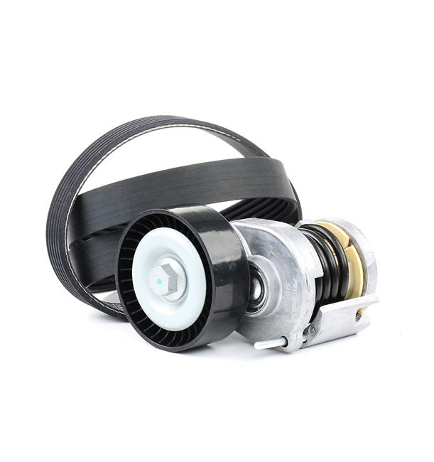 RIDEX 542R0041 Kit de courroie d'accessoire Polo 9N 1.9 SDI 64 CV Diesel 2001