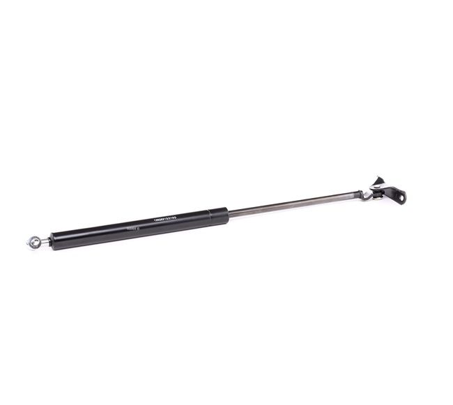 RIDEX 219G0570 gasveer achterklep 6896080057