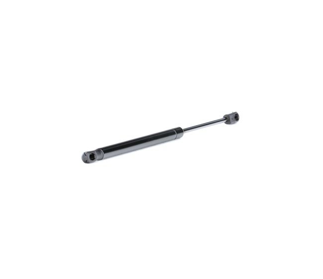 RIDEX 219G0597 gasveer achterklep 855 827 552 B
