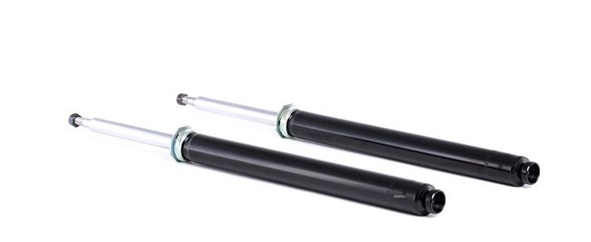 RIDEX 854S1672 schokdemper 1124448