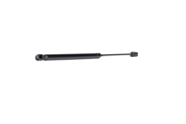 RIDEX 219G0702 Calidad y precios justos