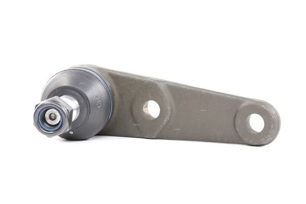 RIDEX 2462S0220 Kwaliteit & eerlijke prijsbepaling