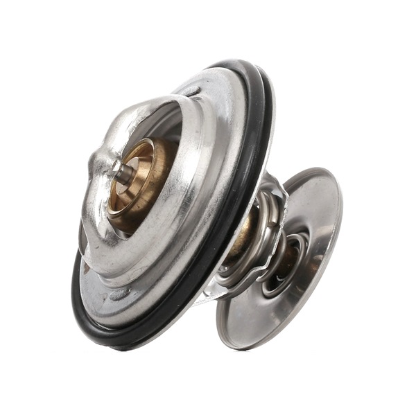 RIDEX 316T0087 thermostaat, koelvloeistof 22031675