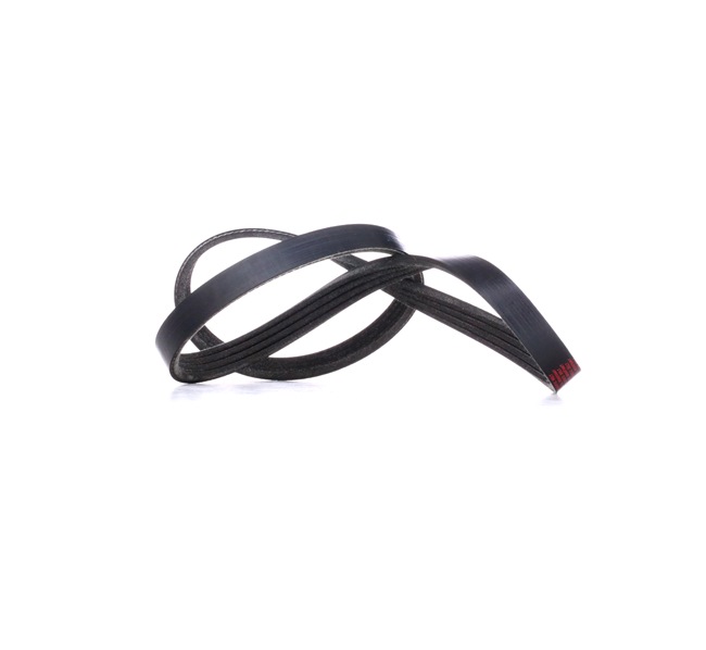 RIDEX 305P0226 Rebrasti jermen Renault Clio 2 1.0 (CB06, CB2R, BB06, BB2R) 71 km Bencin 2003