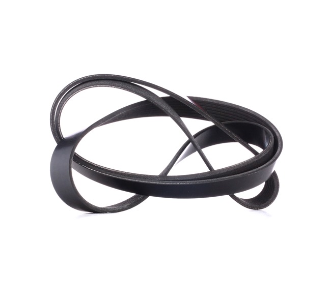 RIDEX 305P0347 V formos rumbuoti diržai Honda Accord 7