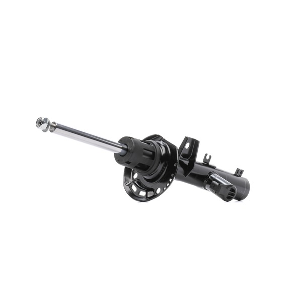 RIDEX 854S1319 Amortizatorius VW Passat B6 Variant 3.6 R36 4motion 300 AG benzinas 2010