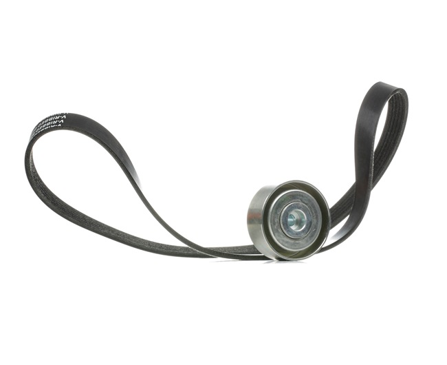 RIDEX 542R0003 poly v-riem set 1613844580