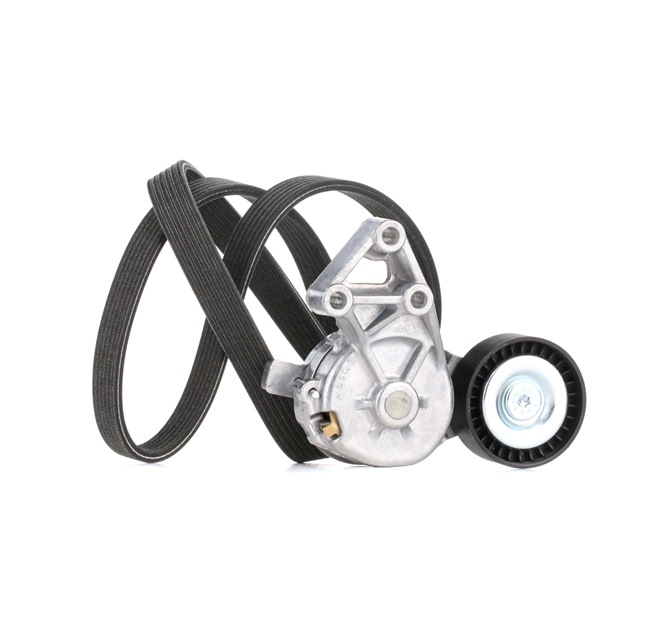 RIDEX 06A260849C Kileremssæt 542R0004