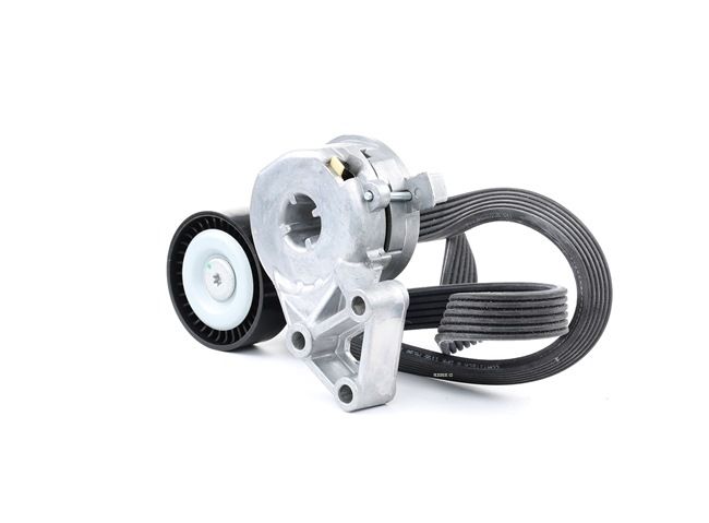 RIDEX 542R0015 V formos rumbuotas diržas VW Golf 4 Variant 2.0 4motion 120 AG benzinas 2004