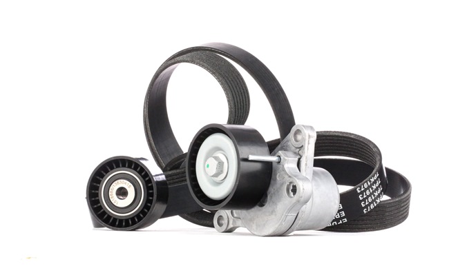 RIDEX 542R0022 poly v-riem set 7701476645