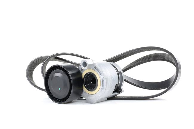 RIDEX 542R0023 poly v-riem set 117206843R