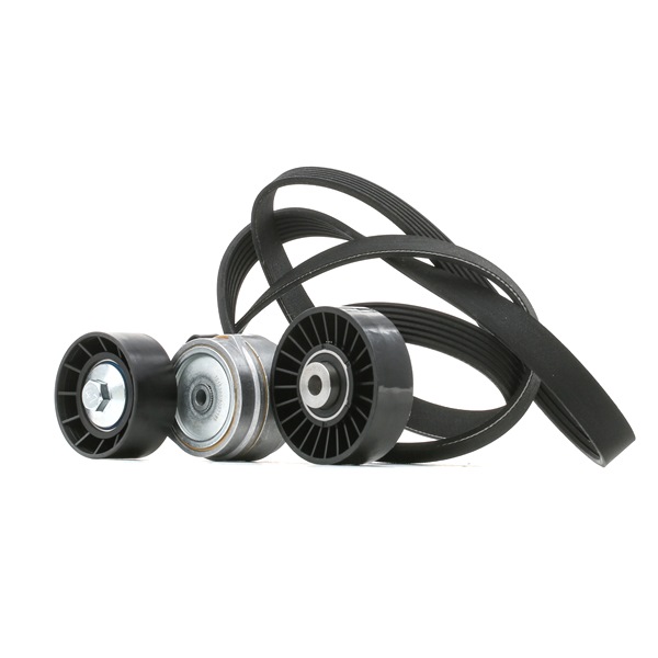 RIDEX 542R0028 poly v-riem set 6081 6054