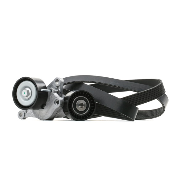 RIDEX 11720-00Q1C Moniurahihnasarja 542R0032