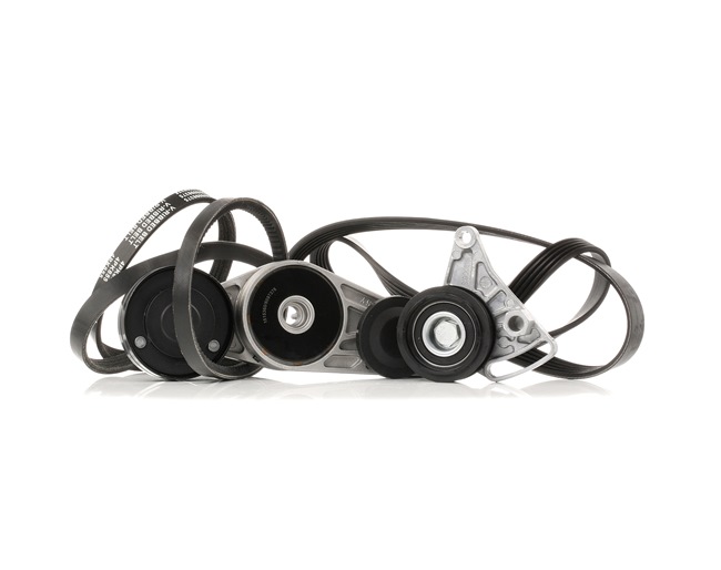RIDEX 542R0037 Komplet rebrastega jermena Passat 3b5 1.8 125 km Bencin 2000
