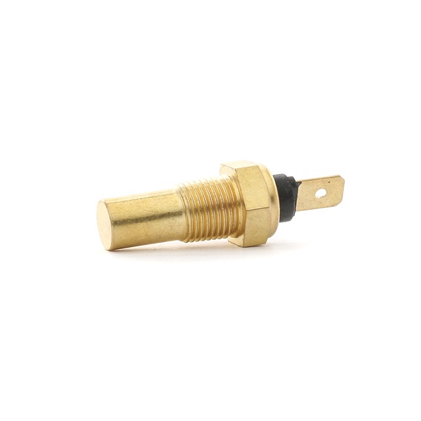 RIDEX 830C0021 Ηλεκτρονικό σύστημα κινητήρα Ford Ranger EQ 2.6 109 PS Βενζίνη 2004