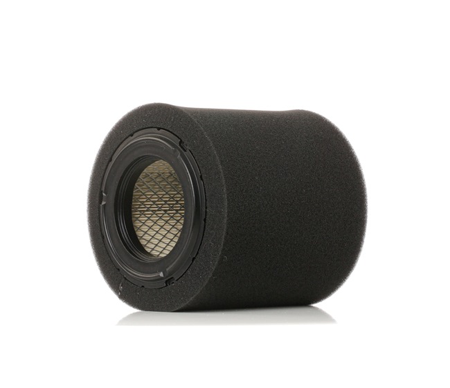 RIDEX 8A0575 DODGE Luftfilter Kosten