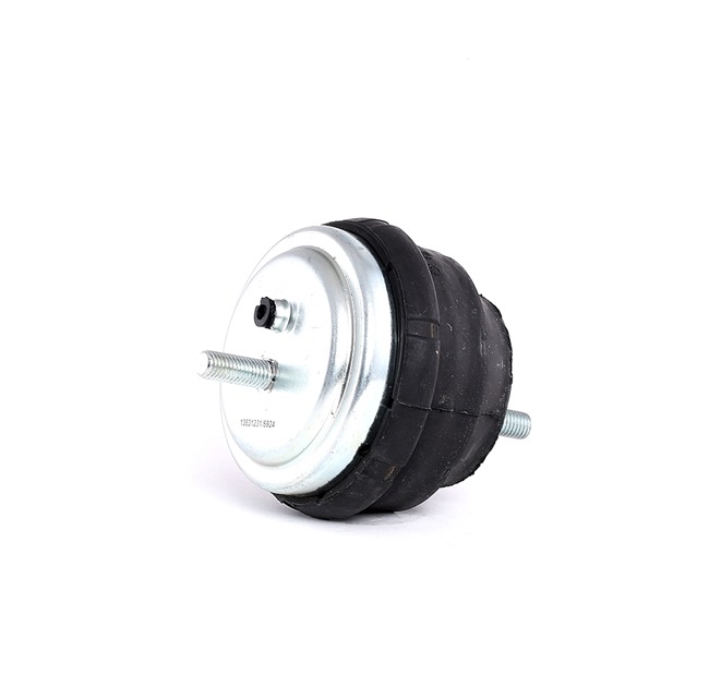RIDEX 247E0124 Calidad y precios justos