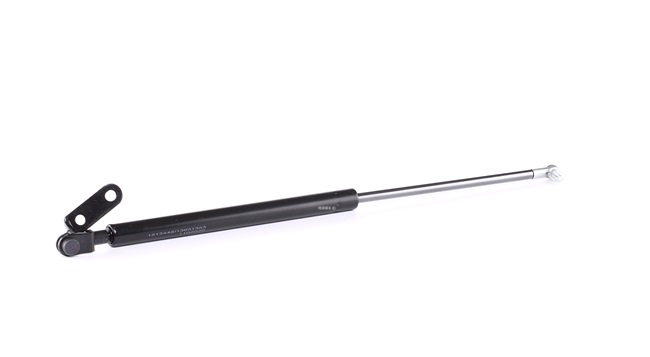 RIDEX 219G0443 gasveer achterklep 9045151C26