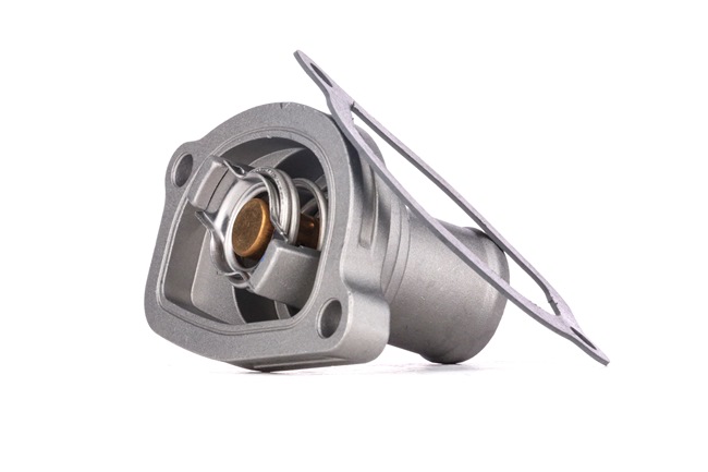 RIDEX 316T0138 Calidad y precios justos