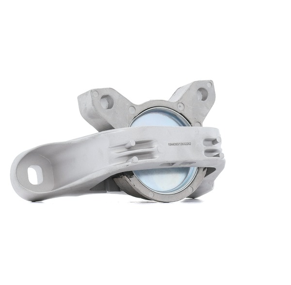 RIDEX 247E0144 Vlezajenje, motor Ford Focus mk1 Sedan