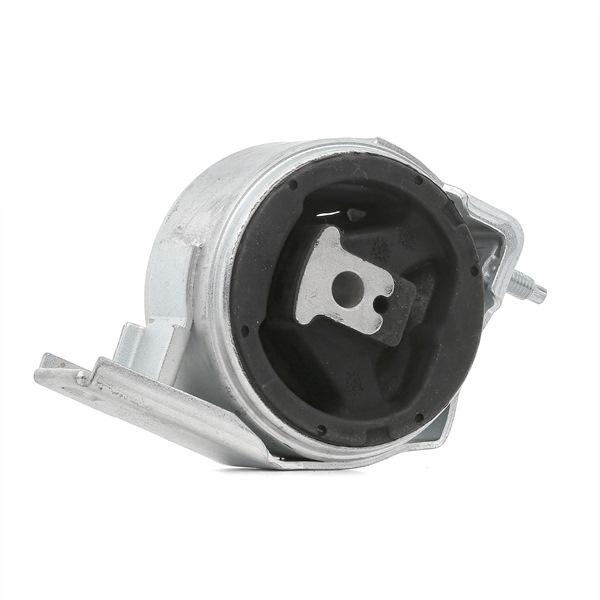 RIDEX 247E0191 qualité haut de gamme et prix abordables