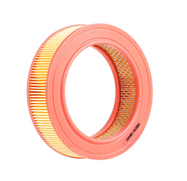 RIDEX 77 01 348 963 Filtre à air 8A0618