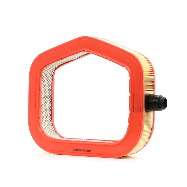 RIDEX A0030945304 Luftfilter 8A0622