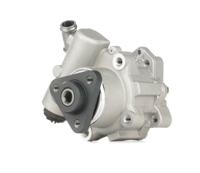 RIDEX 12H0110 Servopumpe FORD Kosten