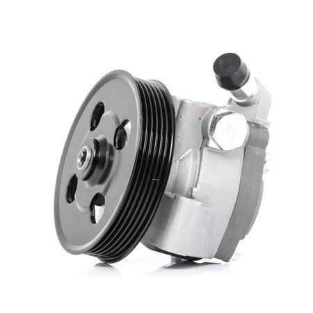 RIDEX 12H0123 Servopumpe LAND ROVER Kosten