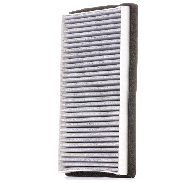 RIDEX 424I0402 Filter vnútorného priestoru FIAT MULTIPLA 2007